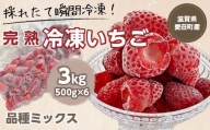 【採れたて瞬間冷凍！】滋賀県愛荘町産　冷凍いちご 3kg（500g×6）品種ミックス BJ06