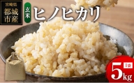 ヒノヒカリ 玄米 5kg (1袋) 宮崎県都城市産 ＜単一原料米＞