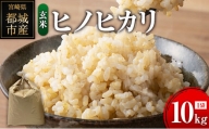 ヒノヒカリ 玄米 10kg (1袋) 宮崎県都城市産 ＜単一原料米＞