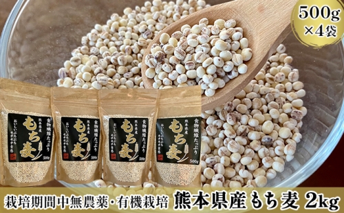 熊本県産 もち麦 2kg（500g×4袋）