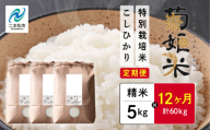 【定期便12ヶ月】完熟菊姫米　特別栽培米コシヒカリ　精米5kg【ADATARAふぁーむ】