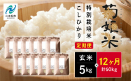 【定期便12ヶ月】菊姫米　特別栽培米コシヒカリ　玄米5kg【ADATARAふぁーむ】