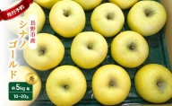 先行予約 長野市産 信州りんご シナノゴールド 秀10～20玉 約5kg箱