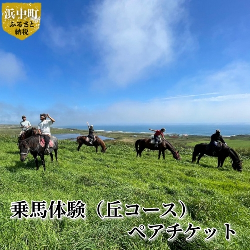 乗馬体験（丘コース）ペアチケット_H0036-002 1334148 - 北海道浜中町