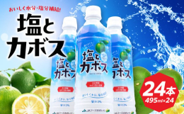 【お中元ギフト用 お熨斗対応できます！】7月1日〜8月8日の期間にお届けいたします。ご希望の配送時期がございましたら、備考欄にてお知らせください。※備考欄に配達希望時期の入力がない場合は、7月下旬〜8
