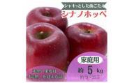 りんご シナノホッペ 約5kg 家庭用 (13玉～23玉)【1495969】
