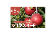 りんご シナノスイート 約5kg【1504882】
