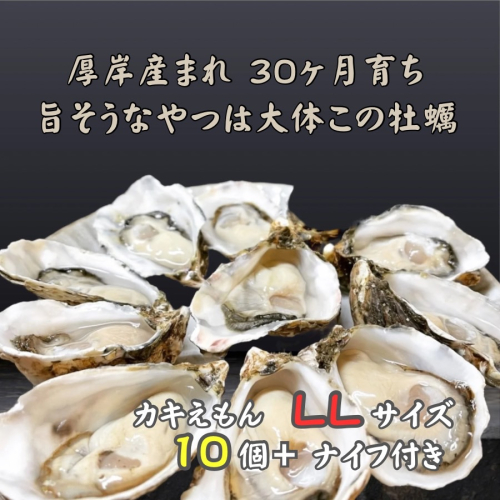 厚岸で産まれ30ヵ月育成 北海道 厚岸産 牡蠣 カキえもん LLサイズ 10個 カキ 1334593 - 北海道厚岸町