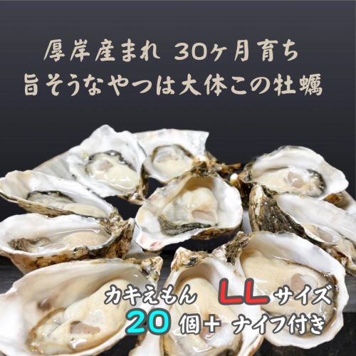 厚岸で産まれ30ヵ月育成 北海道 厚岸産 牡蠣 カキえもん LLサイズ 20個 カキ 1334594 - 北海道厚岸町