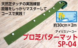 【父の日ギフト】 天然芝タッチの実践練習、距離をしっかりマスターしてコースで実践！ ゴルフが好きなお父さんへの贈り物へいかがですか。 〇集中力の強化 大小2種類のホール（大/直径80mm、小/直径50