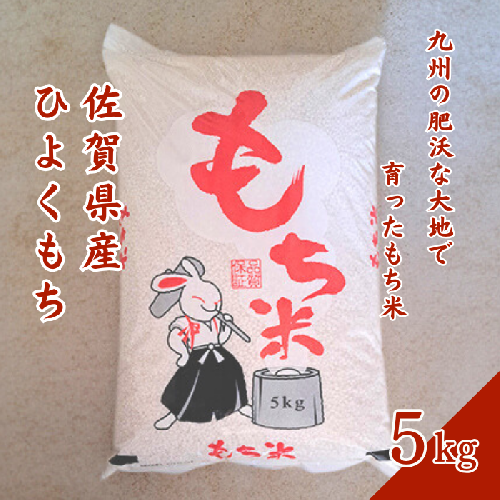 令和5年 佐賀県産ひよくもち 5kg：A090-021 1334934 - 佐賀県佐賀市