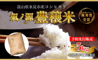 [2025年10月下旬以降発送]お米自慢コンクール優秀賞! 令和7年産 富山県産コシヒカリ 玄米 5kg 富山県 氷見市 こしひかり R7