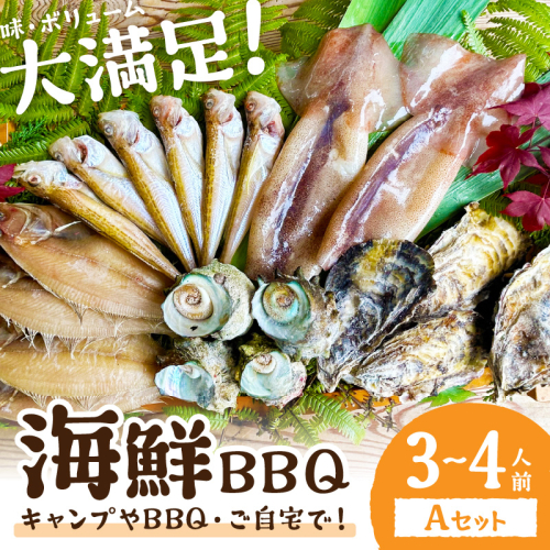 【先行予約】大満足！京丹後・海鮮BBQ　Aセット　5種20品（3～4人前）（2025年5月上旬～発送） 1335259 - 京都府京丹後市