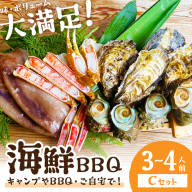 大満足！京丹後・海鮮BBQ　Cセット　贅沢生ズワイガニ付き　4種11品（3～4人前）