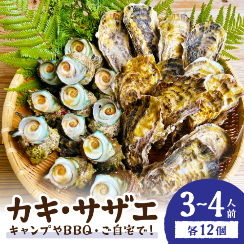 大人気！京丹後産・牡蠣とサザエのBBQセット　各12個（3～4人前）
 1335266 - 京都府京丹後市