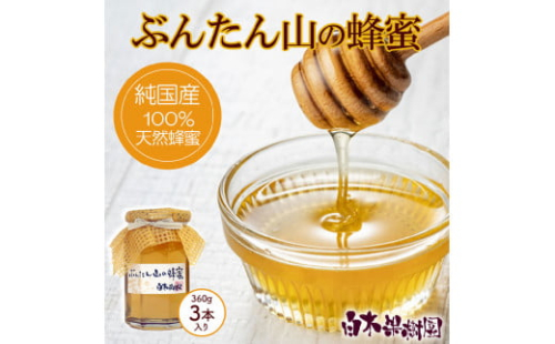 爽やかな香り広がる100%天然蜂蜜 ぶんたん山の蜂蜜　360g 3本入り はちみつ ハチミツ 高知県産 国産 天然はちみつ 土佐 高知 【白木果樹園】 1335269 - 高知県土佐市