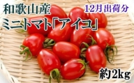 【12月出荷分】和歌山産ミニトマト「アイコトマト」約2kg（S・Mサイズおまかせ） / トマト 12月 先行予約 野菜  【tec100-12】