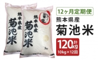 【定期便12回】菊池米 合計120kg(毎月5kg×2袋) 令和5年産