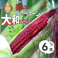 【2026年先行予約】山梨県都留市産 紅いスイートコーン 大和ルージュ｜希少な赤いとうもろこし 甘い スイートコーン トウモロコシ 産地直送 送料無料【浅田農園】