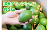 高知県産 山北温室グリーンレモン ５kg　F-43