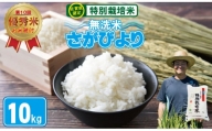 2023お米番付「優秀賞」！佐賀県認定 特別栽培米 「農薬：栽培期間中不使用」 無洗米 さがびより （ 10kg ）しもむら農園