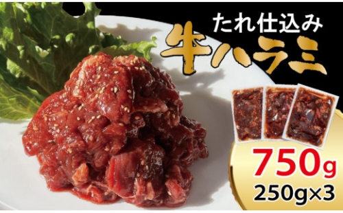 べこ政宗【牛ハラミたれ仕込み】750g (250g×3)｜牛肉 牛ハラミ 焼肉用 冷凍 小分け 焼肉 BBQ、味付き 家計応援 焼くだけ [0219] 1335743 - 宮城県富谷市