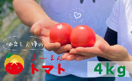 【先行受付 2024年12月以降配送】熊野市産 仲良し夫婦の ま～るんトマト 4kg