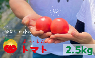 【先行受付 2024年12月以降配送】熊野市産 仲良し夫婦の ま～るんトマト 2.5kg