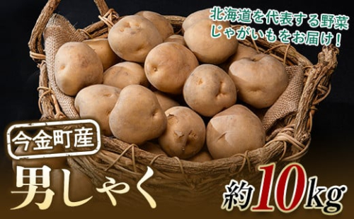 【先行予約】北海道今金町産男爵いも 約10kg 【2025年10月下旬以降順次出荷】 北海道産 じゃがいも ジャガイモ だんしゃく 野菜 ほくほく しっとり 常備野菜 F21W-486
