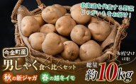 [定期便]北海道今金町産男爵いも[秋の新ジャガ][春の越冬イモ]食べ比べセット 計10kg 北海道産 じゃがいも ジャガイモ だんしゃく 野菜 セット ほくほく しっとり 常備野菜 F21W-399 クラウドファンディング 実施中 GCF