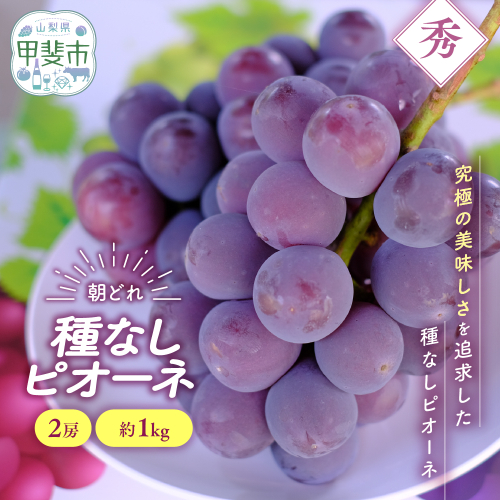 【✩先行予約✩2026年/令和8年発送分】種なしピオーネ2房　約1kg　人気　おすすめ　国産　贈答　ギフト　お取り寄せ　　山梨県産　産地直送　フルーツ　果物　くだもの　ぶどう　ブドウ　葡萄　ピオーネ　新鮮 1335955 - 山梨県甲斐市