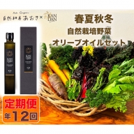 【年12回定期便】自然栽培野菜とKANDANオリーブオイル180gセット　2～3人用