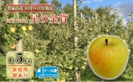 【10月～11月 クール便発送】toki farm 家庭用 星の金貨 約5kg 訳あり【弘前市産・青森りんご】