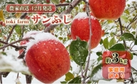 【12月発送】toki farm 家庭用 サンふじ 約3kg 訳あり【弘前市産・青森りんご】