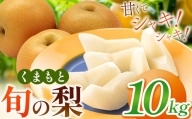 くまもと 旬の 梨 約 10kg | フルーツ 果物 くだもの なし ナシ 梨 旬 熊本県 玉名市
