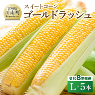 【令和8年発送】宮崎県産とうもろこし　スイートコーン「ゴールドラッシュ」L×5本【新鮮 農家直送 トウモロコシ 産地直送 季節限定 期間限定 宮崎県産 九州産】