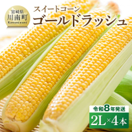 [令和8年発送]宮崎県産とうもろこし スイートコーン「ゴールドラッシュ」2L×4本[新鮮 農家直送 トウモロコシ 産地直送 季節限定 期間限定 宮崎県産 九州産]