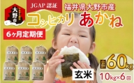 【先行予約】【令和6年産 新米】【6ヶ月定期便】福井県大野市産 JGAP認証 コシヒカリ「あかね」（玄米）10kg×6回　計60kg