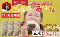 【先行予約】【令和6年産 新米】【12ヶ月定期便】福井県大野市産 JGAP認証 コシヒカリ「あかね」（玄米）10kg×12回　計120kg