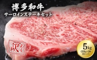 【訳あり】博多和牛サーロインステーキセット　5kg（250ｇ２枚入り×10ｐ） 3C13-S