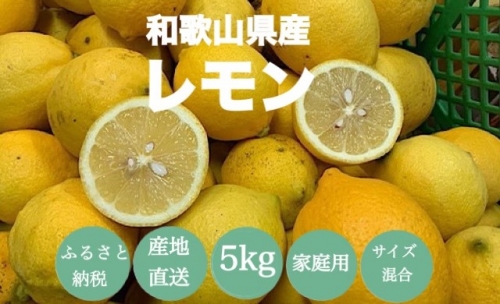 【産地直送】和歌山県産　レモン　5kg　家庭用 133671 - 和歌山県上富田町