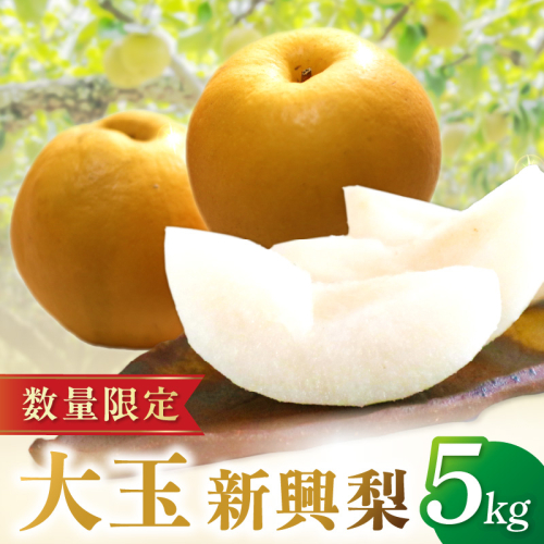 【先行予約／数量限定100】京丹後産・大玉 新興梨 5kg（6玉～10玉）（2025年10月中旬から発送）
 1336722 - 京都府京丹後市