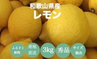 【産地直送】和歌山県産　レモン　3kg　サイズ混合