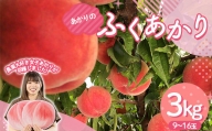 農業女子が贈る桃 あかりのふくあかり 3kg（9～16玉） フルーツ 果物 もも モモ momo F20C-945
