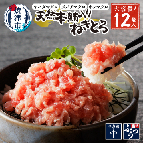 a12-200　天然本鮪入りねぎとろ【80g×12パック】 1337424 - 静岡県焼津市