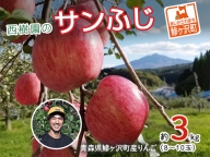 西樹園のサンふじ 約3kg(8～10玉)　青森県鰺ヶ沢町産りんご