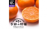 【 毎月発送 全12回 】 柑橘定期便A【IKE9】