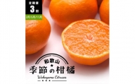 【 2・5・11月 全3回 】 柑橘定期便B【IKE8】