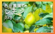 [1~2月発送] 大崎上島産 西田農園のレモン 約3kg（30個程度）