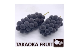 長野県産「種無し巨峰」贈答用 約1kg 2房入り長野県産1房500g程度の「種なし巨峰」が2房入りです。輸送時の脱粒防止のため、1房ずつ透明な鮮度保持袋でぶどうを包み、フルーツキャップで保護された荷姿